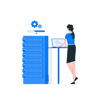 A developer working on a company database.
